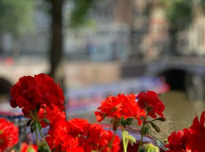 Keizershouse Bed & Breakfast