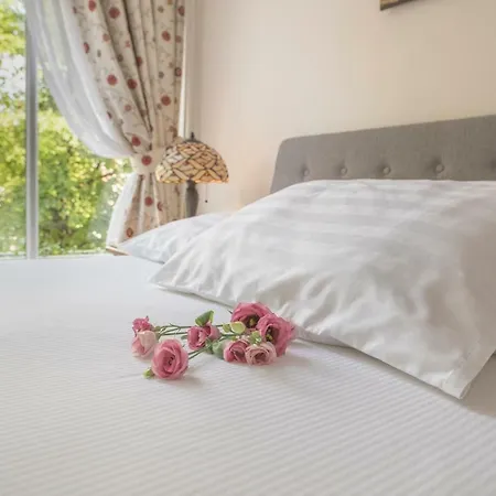 Oda ve Kahvaltı Keizershouse